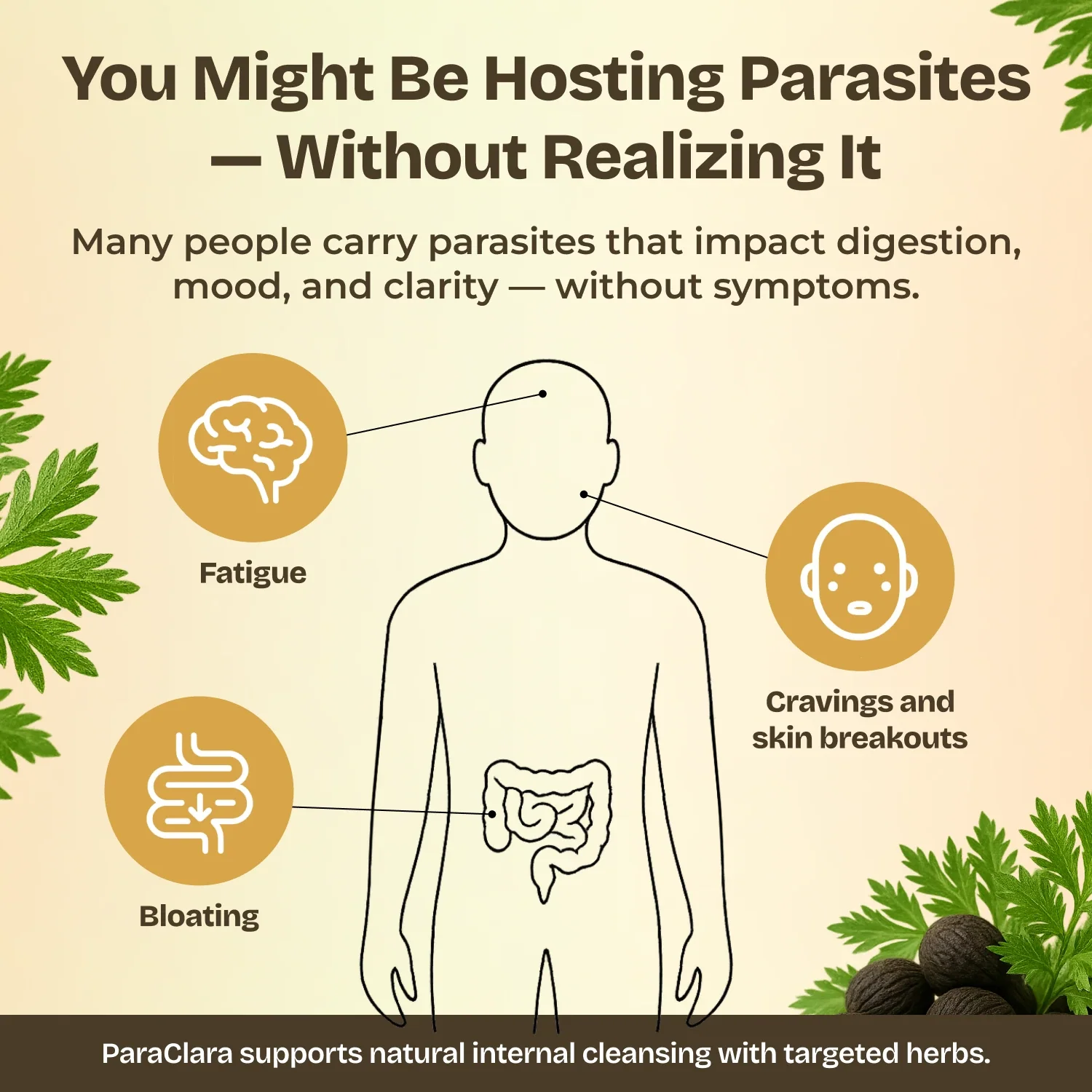 Parasite Cleanser